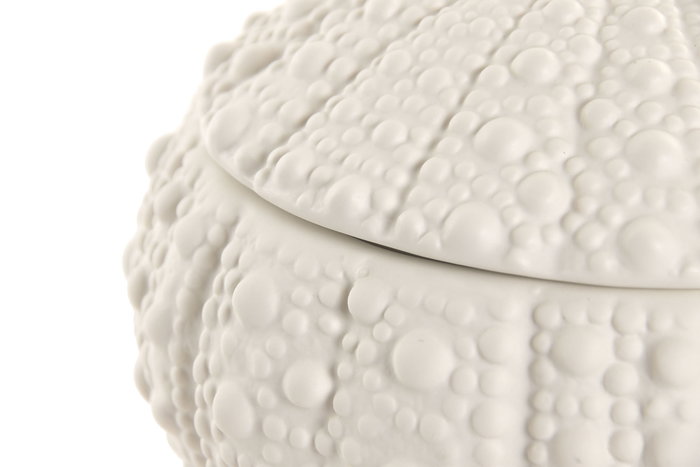 DKD Home Decor Joyero de Gres Erizo Mate Blanco