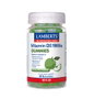 LAMBERTS Vitamina D3 1000 UI sabor manzana 60 gummies