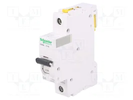 SCHNEIDER ELECTRIC iC60N ACTI9 MCB 1 Polo 4A Curva D