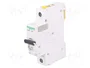 SCHNEIDER ELECTRIC iC60N ACTI9 MCB 1 Polo 4A Curva D