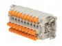 ILME CDSHF27 Conector HDC Hembra 27 Pines