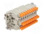 ILME CDSHF27 Conector HDC Hembra 27 Pines