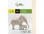 Liderpapel Cartulina A3 180g/m2 Crema Paquete de 100 Hojas