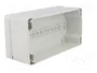 BOPLA EUROMAS II Carcasa Universal Gris IP65