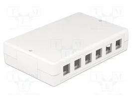 DeLOCK Keystone Leergehäuse 12 Port 86172 Blanco