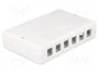 DeLOCK Keystone Leergehäuse 12 Port 86172 Blanco