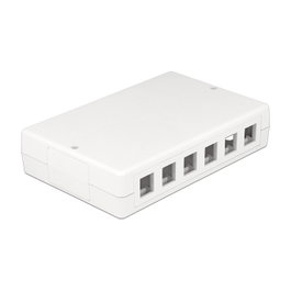 DeLOCK 86172 Caja de conexiones eléctrica 12 puertos