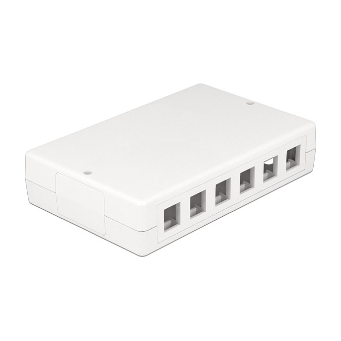 DeLOCK Keystone Leergehäuse 12 Port 86172 Blanco