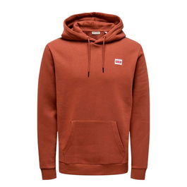 Sudadera con Capucha Hombre Only & Sons Onsdawson Reg Hoodie Vd Marrón M C-D