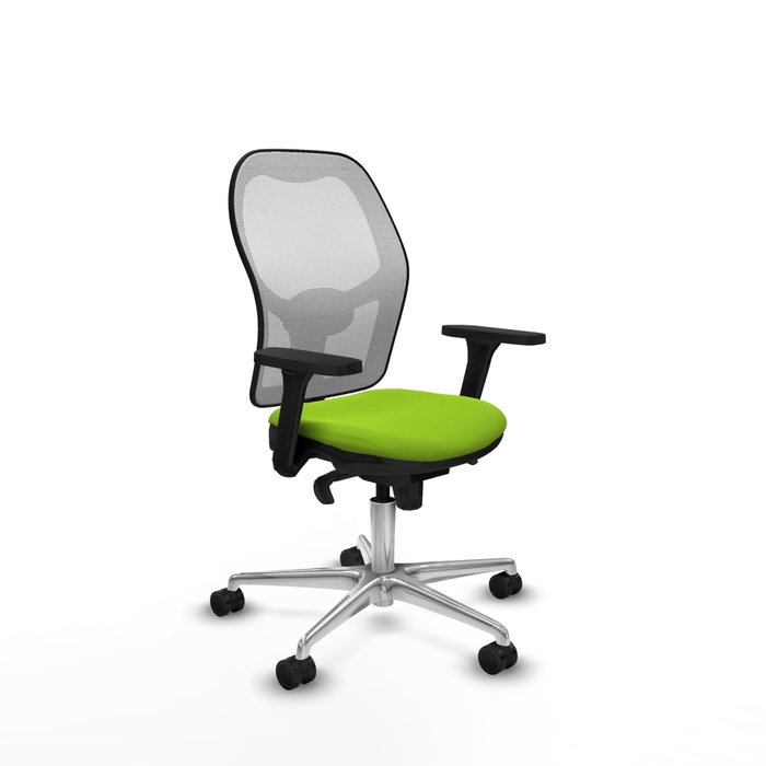 PIQUERAS Y CRESPO Silla de oficina Jorquera con mecanismo Sincro, Pistacho y Blanco PIQUERAS Y CRESPO Silla de oficina Jorquera con mecanismo Sincro, Pistacho y Blanco