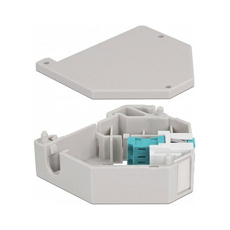 DeLOCK Adaptador de carril DIN con Keystone LC Duplex hembra a LC Duplex hembra aguamarina