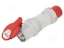 SEZ DK Adaptador de Transición IEC 60309