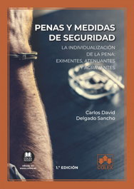 Penas y medidas de seguridad, Carlos David Delgado Sancho - COLEX