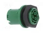 WIELAND Conector industrial redondo RST 3 pines verde