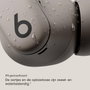 Apple Powerbeats Fit Gris Grava