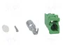 4CARMEDIA Conector de Antena Recto AVIC F para Pioneer