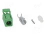 4CARMEDIA Conector de Antena Recto AVIC F para Pioneer