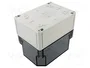 SPELSBERG TK PC Carcasa Universal Gris IP66