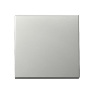 GIRA 3296600 Wippe System 55 Edelstahl Gris GIRA 3296600 Wippe System 55 Edelstahl Gris