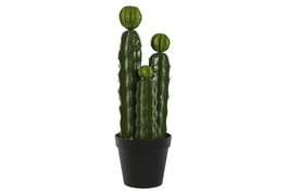 DKD Home Decor Planta de Cactus Verde en Foam y PP