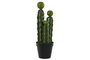 DKD Home Decor Planta de Cactus Verde en Foam y PP