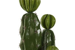 DKD Home Decor Planta Tropical Verde Foam Pp Cactus 22 x 69 x 22 cm (2 Unidades)