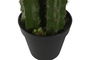DKD Home Decor Planta Tropical Verde Foam Pp Cactus 22 x 69 x 22 cm (2 Unidades)