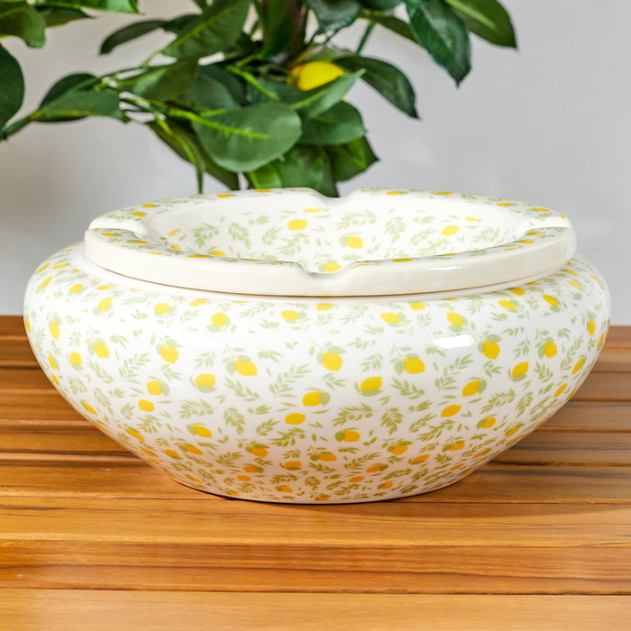 Home Deco Factory Cenicero Agua XXL, Colección Bain De Soleil, Diámetro 24 cm, Altura 10 cm, Modelo Surtido (Limones, Rayas, Sunshine)