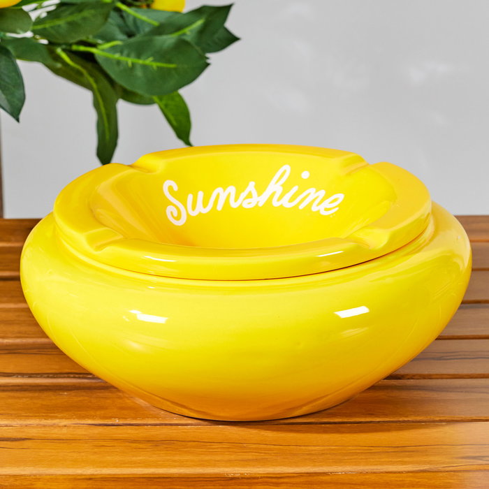 Home Deco Factory Cenicero Agua XXL, Colección Bain De Soleil, Diámetro 24 cm, Altura 10 cm, Modelo Surtido (Limones, Rayas, Sunshine)