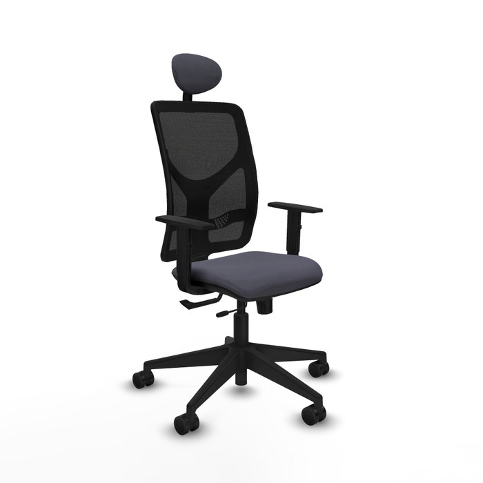 PIQUERAS Y CRESPO Silla de oficina Motilla con mecanismo Sincro/Traslack, Gris oscuro y Negro PIQUERAS Y CRESPO Silla de oficina Motilla con mecanismo Sincro/Traslack, Gris oscuro y Negro