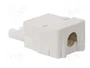 BM GROUP Bloque de Bornas Desmontable Blanco 16A