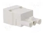 BM GROUP Bloque de Bornas Desmontable Blanco 16A
