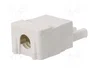 BM GROUP Bloque de Bornas Desmontable Blanco 16A