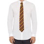 Cinereplicas Harry Potter Set Deluxe de Corbata & Pin Gryffindor