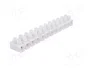 PAWBOL Bloque de bornas de 24 bornas, 41A, 400V, blanco