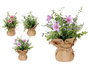 Ibergarden Planta Saco Flores Grande Surtidos Colores 30x19x19 cm (Set de 12)