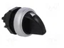 LOVATO ELECTRIC Interruptor rotativo Platinum de 3 posiciones, 22mm, negro