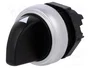 LOVATO ELECTRIC Interruptor rotativo Platinum de 3 posiciones, 22mm, negro