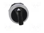 LOVATO ELECTRIC Interruptor rotativo Platinum de 3 posiciones, 22mm, negro