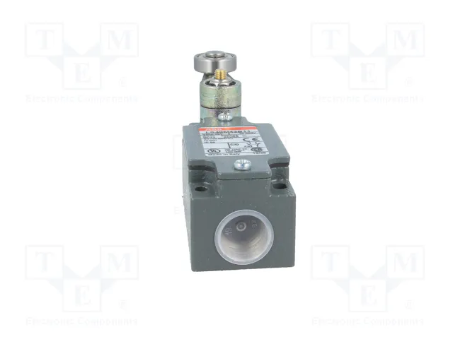 ABB Interruptor de fin de carrera NO + NC 10A con palanca y roldana ABB Interruptor de fin de carrera NO + NC 10A con palanca y roldana