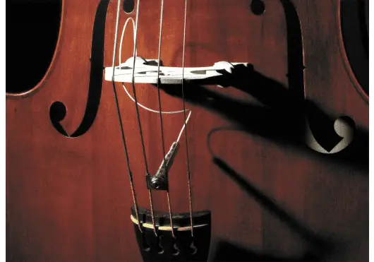 Fishman Full Circle Pastilla Dual Piezo / Ceramic para Contrabajo 1/4 20 Fishman Full Circle Pastilla Dual Piezo / Ceramic para Contrabajo 1/4 20