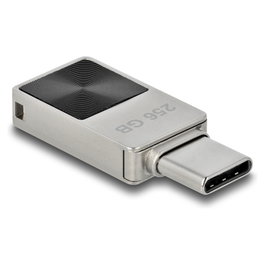 DeLOCK Mini USB-C 256 GB Negro/Gris