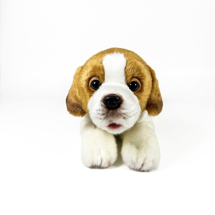 Deqube Peluche Beagle Tumbado 25Cm 939D00289 Bocalan