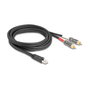 DeLOCK 88171 Cable de audio RJ45 a 2 x RCA de 2 m, negro