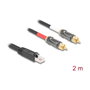 DeLOCK Cable de audio RJ45 a 2 x RCA 2 m Negro