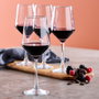 Day Juego de 4 Copas de Vino 510 ml Ideales para Vino Tinto