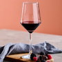 Day Juego de 4 Copas de Vino 510 ml Ideales para Vino Tinto