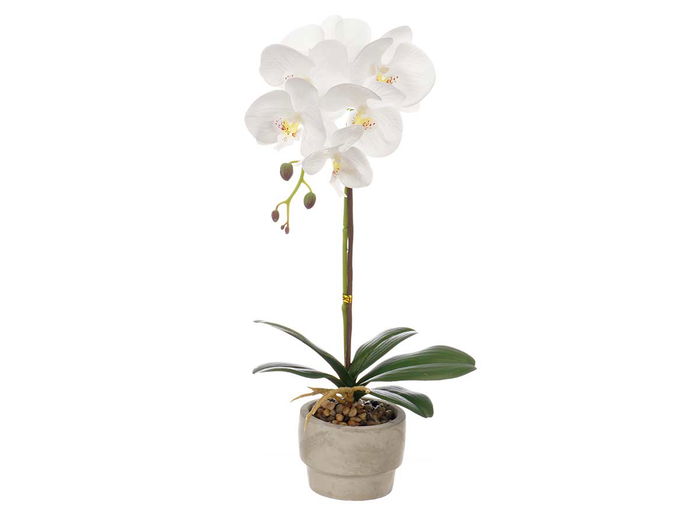 IBERGARDEN Orquidea Maceta Cemento Blanca 1 Vara 18x43x18cm (Set de 8)