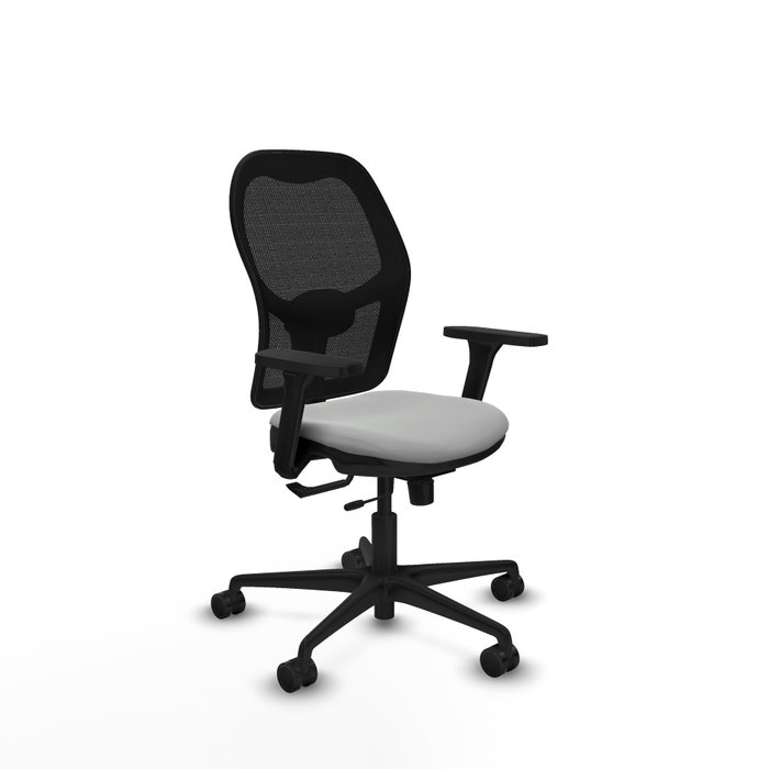 PIQUERAS Y CRESPO Silla de oficina Jorquera Gris claro y Negro PIQUERAS Y CRESPO Silla de oficina Jorquera Gris claro y Negro