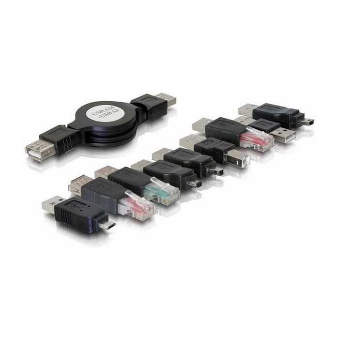 DeLOCK Kit de adaptadores USB 10 piezas
